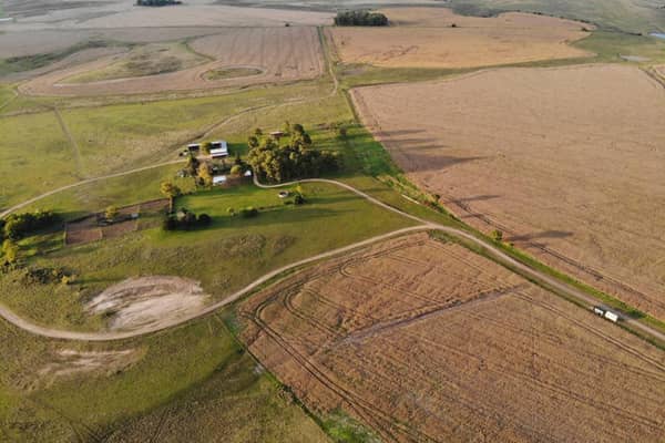 1927 hectáreas. Agrícola Ganadero en Río Negro Uruguay